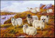 unknow artist Sheep 063 china oil painting artist